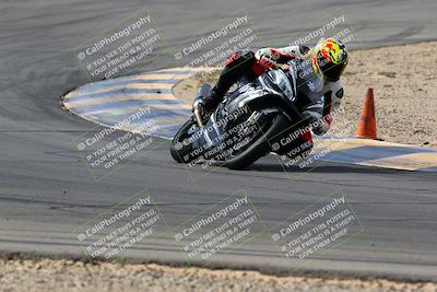 media/Mar-13-2022-SoCal Trackdays (Sun) [[112cf61d7e]]/Turns 9 and 8 (1020am)/